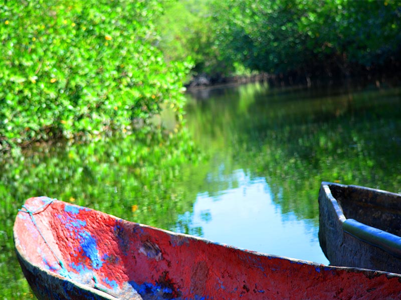 Estero de Jaltepeque